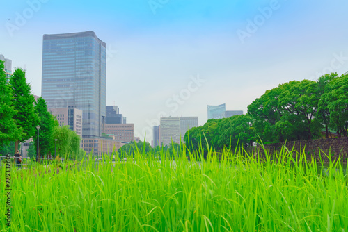 皇居周辺の風景(東京、日本)