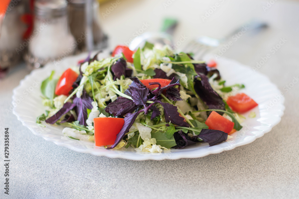 Vegetarian salad of vegetables and herbs on a white plate. Healthy food Vegetarian salad of vegetables and herbs on a white plate. Healthy food