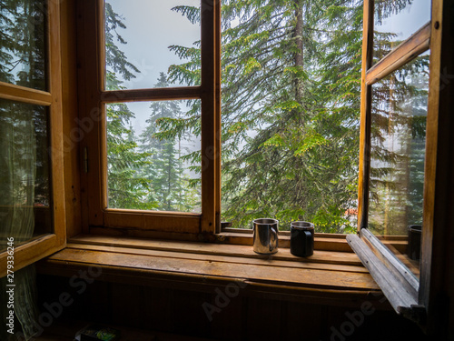 two camp mugs on the windowsill against the forest