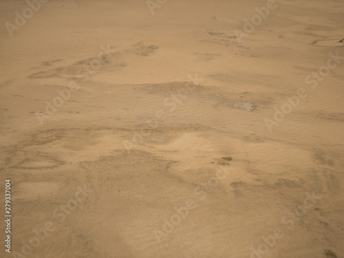 dune sand yellow and grey