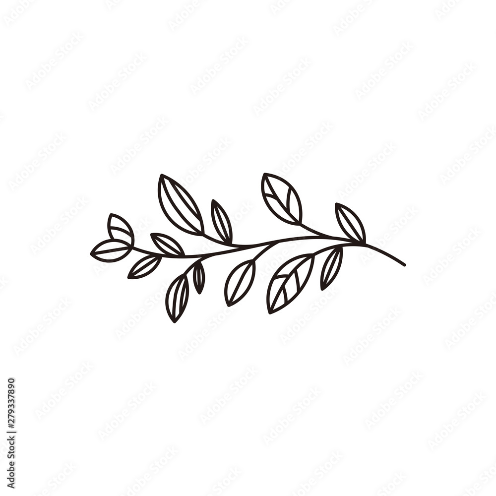 leaf vector illustration logo graphic leaf vector illustration logo graphic