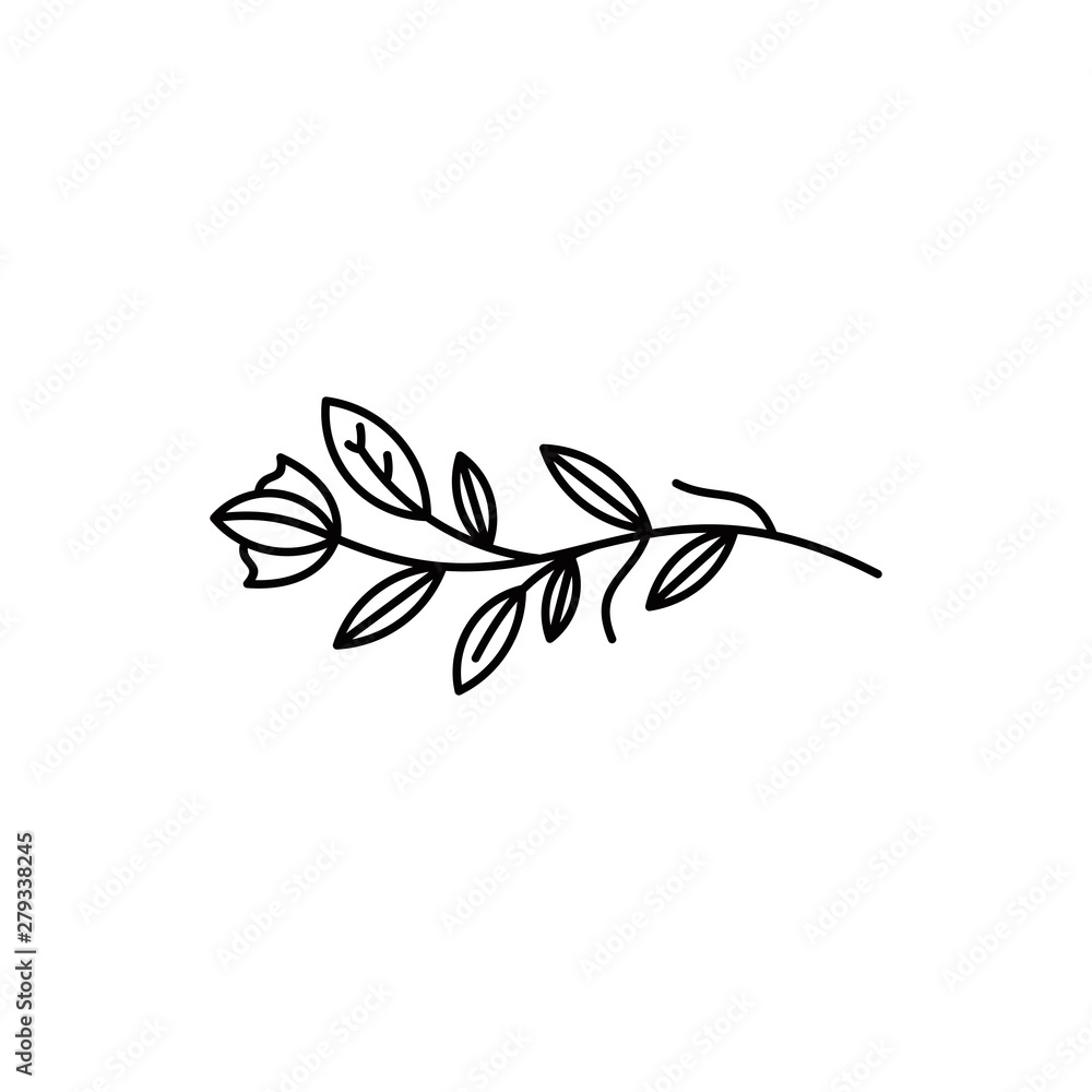 leaf vector illustration logo graphic