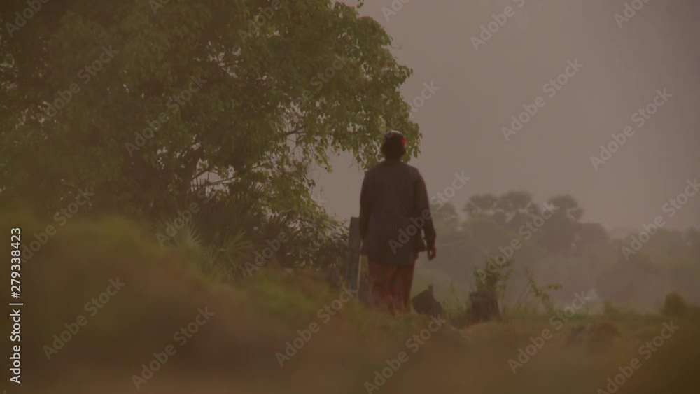An artistic closeup shot of a local walking in the field during a foggy afternoon with visible cloudy gray skies above. An artistic closeup shot of a local walking in the field during a foggy afternoon with visible cloudy gray skies above.