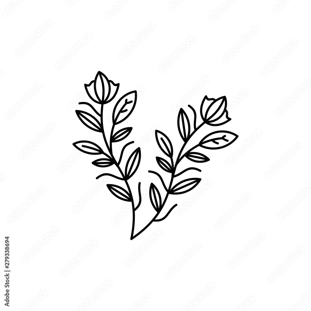 leaf vector illustration logo graphic