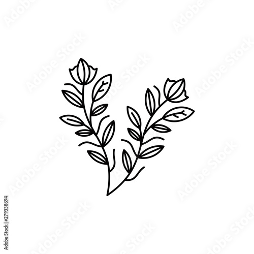 leaf vector illustration logo graphic © muhammad