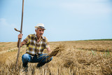 Senior farmer working at wheat field