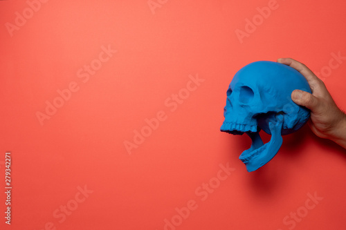 Blue Skull and living coral backdrop