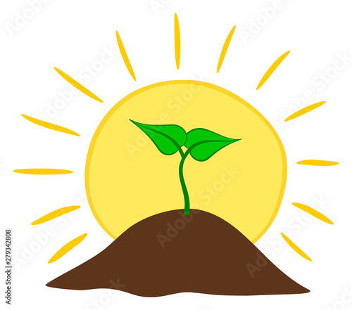 Growing plant from ground with sun. Vector illustration.