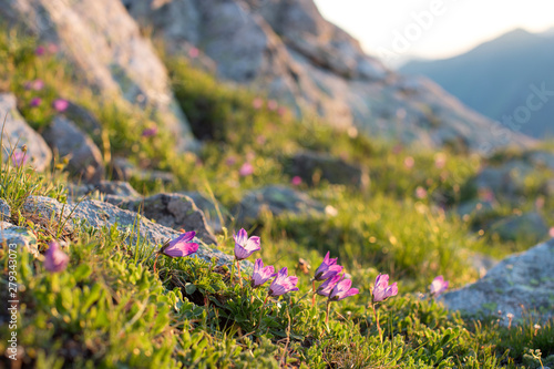 the Caucasus mountains Arkhyz in Sunny day