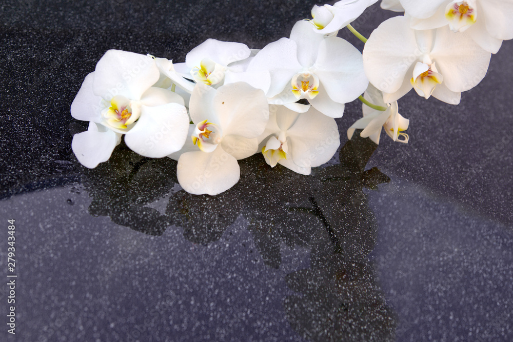 White orchids flowers and spa stones . Spa background. White orchids flowers and spa stones . Spa background.