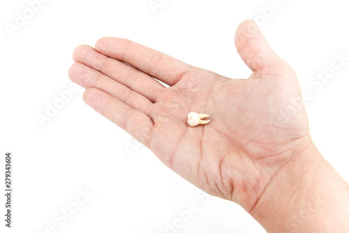 hand holding a human tooth on a white background with copy space