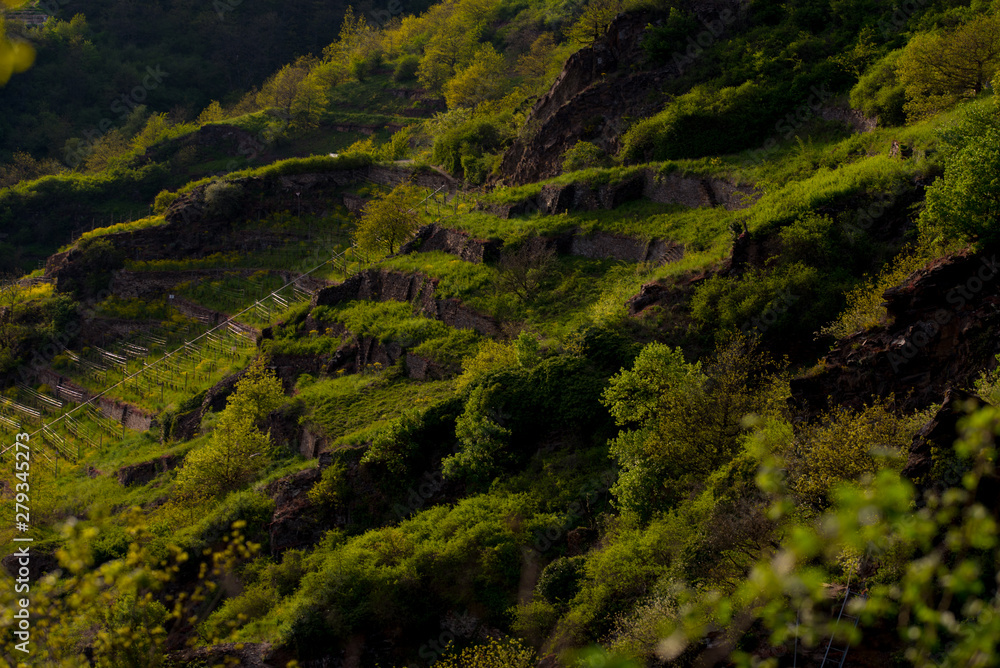 Grüne Berge Grüne Berge