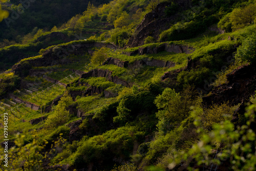 Grüne Berge