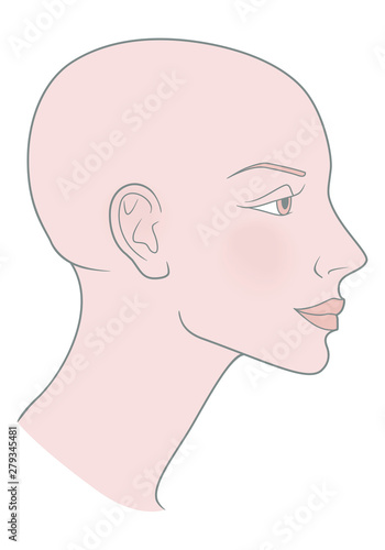 Bald Hairless Profile of a girl with a beautiful skull. Shaved skull. Vector image.