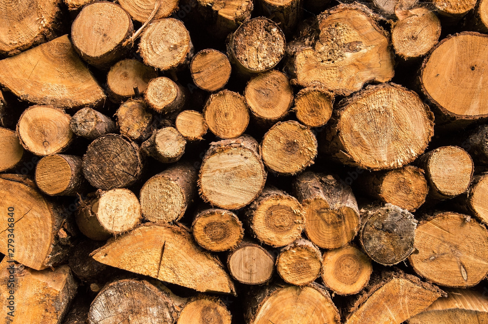 Close up. Stack of wood stock. Timber stack, wood pile. Background, texture. Close up. Stack of wood stock. Timber stack, wood pile. Background, texture.