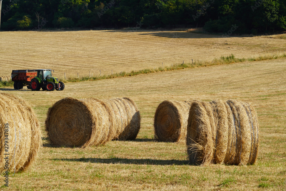 Paysage Campagne 485