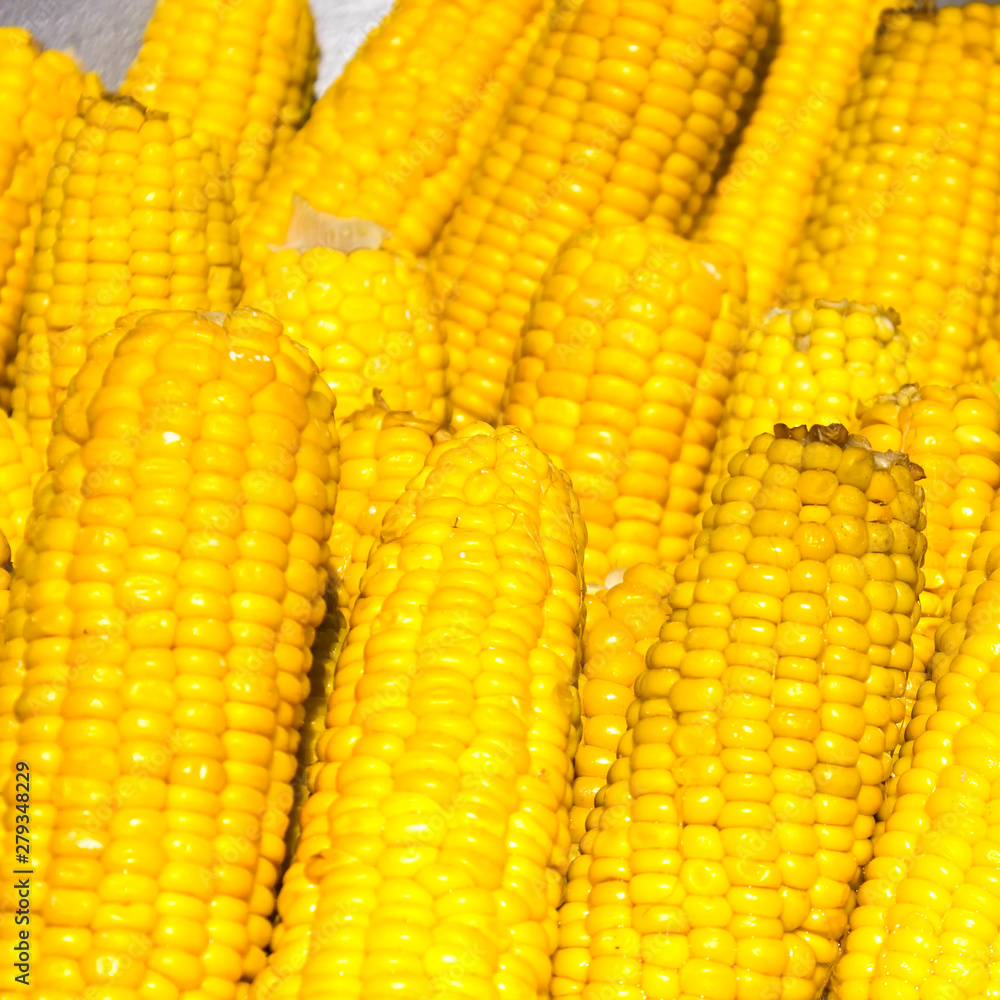 Yellow boiled corn close-up. Texture of corn seeds.