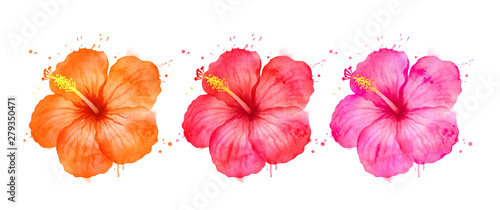 Watercolor illustration set of Hibiscus flowers
