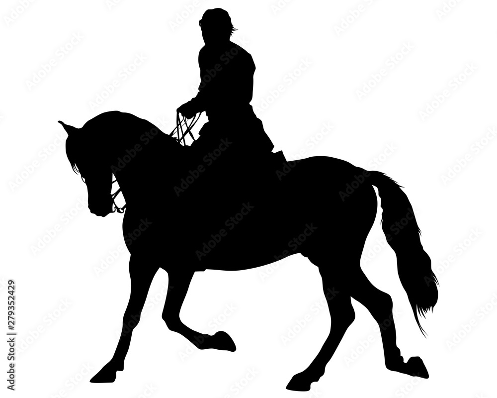 Horseman rides a horse on a white background Horseman rides a horse on a white background