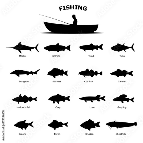 Set of black silhouette of sea river fish