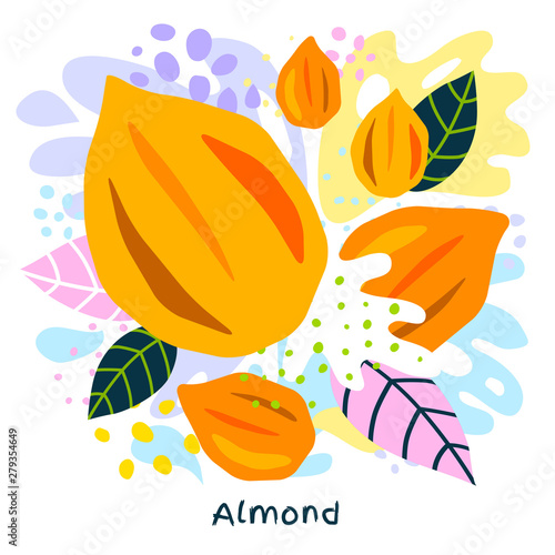 Fresh almond color milk splash organic food condiment spice splatter. Spicy herbs nuts. Abstract colorful art splatter splash background. Vector hand drawn illustration