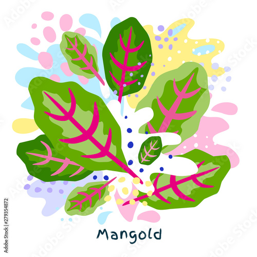 Fresh mangold green spinach vegetable juice splash organic salad vegetables condiment spice splatter on abstract coloful background. Food vector hand drawn illustrations