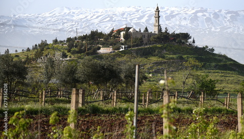 Kirche auf einem Hügel in der Bekaa-Ebene mit Weinstöcken im Vordergrund  photo