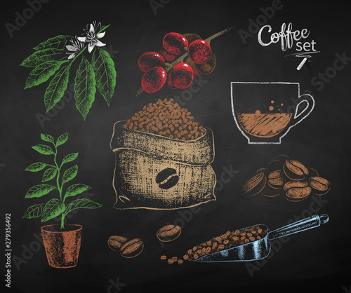 Vector set of illustrations of coffee beans