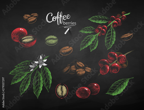 Vector chalk drawn set of coffee illustrations