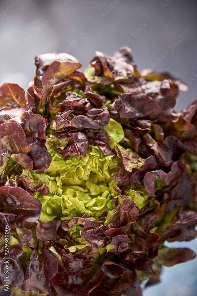 Obraz premium view of fresh green vegetables