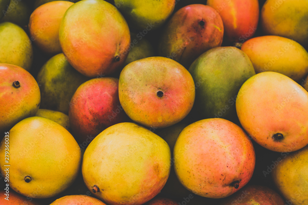 pile of fresh mango fruits closeup - food background - pile of fresh mango fruits closeup - food background -