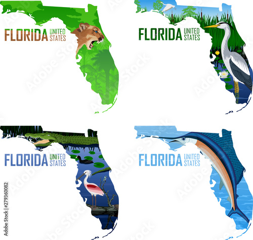 Set of vector Florida - American state map with swordfish Atlantic sailfish, great blue heron, puma cougar or mountains lion, alligator, spoonbill, coot and turtle
