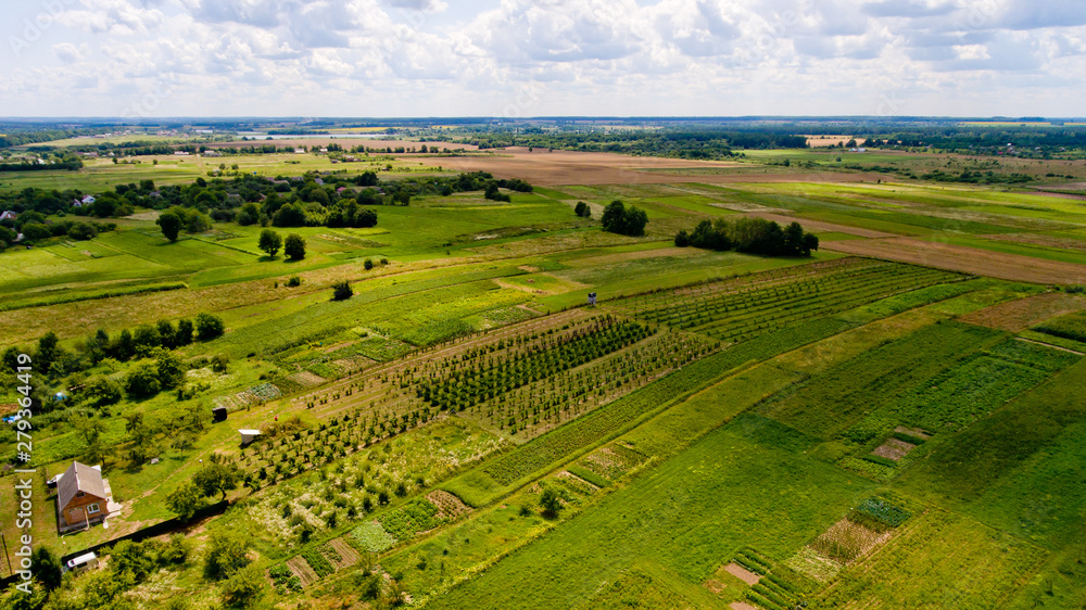 Beautiful aerial view of agricultural fields and blue sky with white clouds.