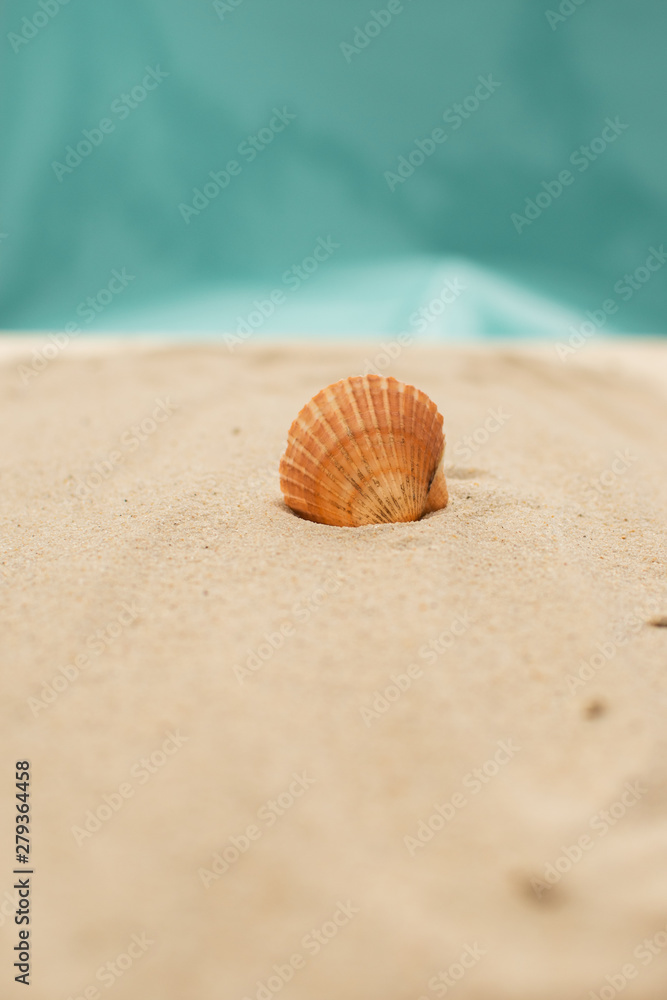 Strand mit Muscheln und einer Flaschenpost Strand mit Muscheln und einer Flaschenpost