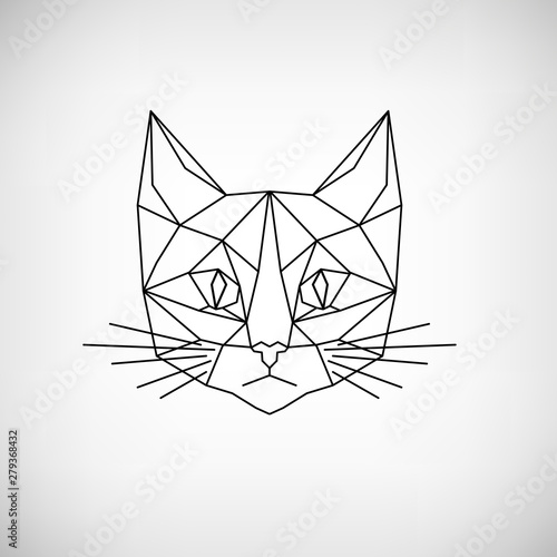 Katze 