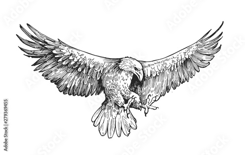 Sketch of eagle. Hand drawn illustration converted to vector