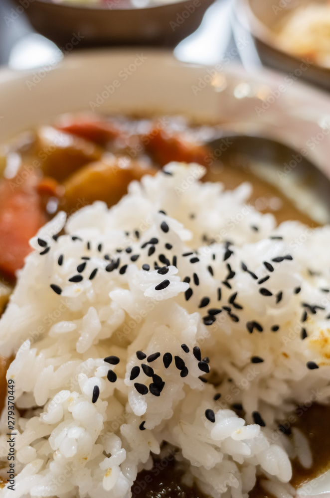 homemade curry rice food homemade curry rice food
