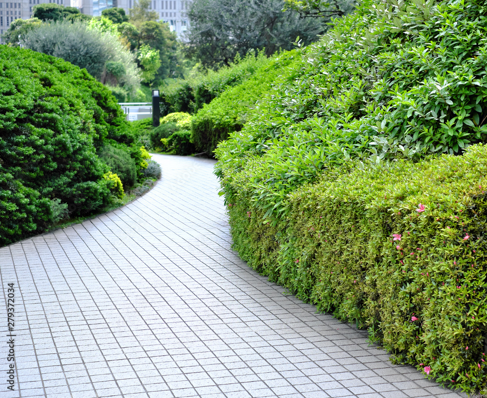 path in the garden path in the garden
