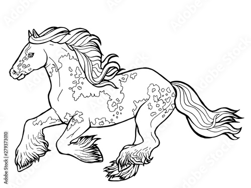 Horse runs trot. Coloring book. The horse runs trot. Coloring book. Tinker is a thoroughbred horse.