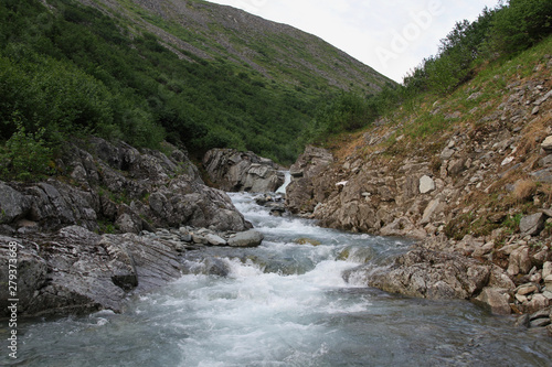 Nature of the polar Urals