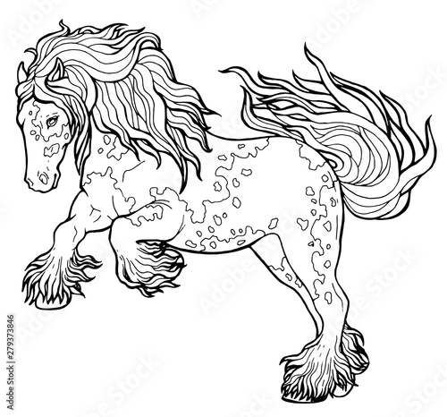 Horse runs trot. Coloring book. The horse runs trot. Coloring book. Tinker is a thoroughbred horse.