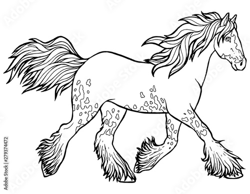 Horse runs trot. Coloring book. The horse runs trot. Coloring book. Tinker is a thoroughbred horse.