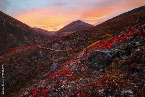 Colorful autumn mountain landscape. Amazing arctic nature. Sunset in the mountains in the Extreme North. Beautiful landscape of Chukotka. Iskaten Ridge, Chukotka, Siberia, Far East of Russia. Arctic.