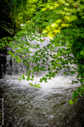 雨の日の滝