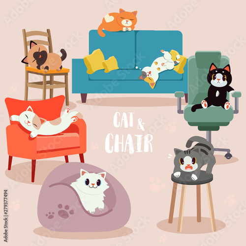 The collection group of cute character cat with the chair pack. some cat look happy , scary,and relaxing. cute cat with many type of the  chair in flat vector style