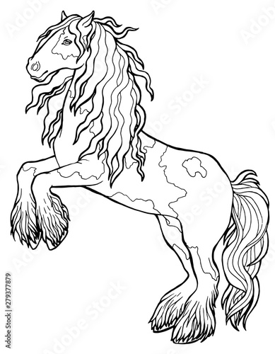 Horse runs trot. Coloring book. The horse runs trot. Coloring book. Tinker is a thoroughbred horse.