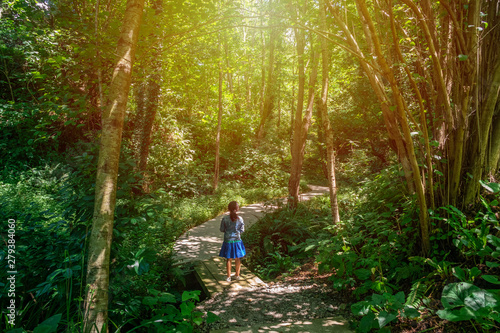 Beautiful green tunnel with light in background in Tvermaghala park. Georgia.