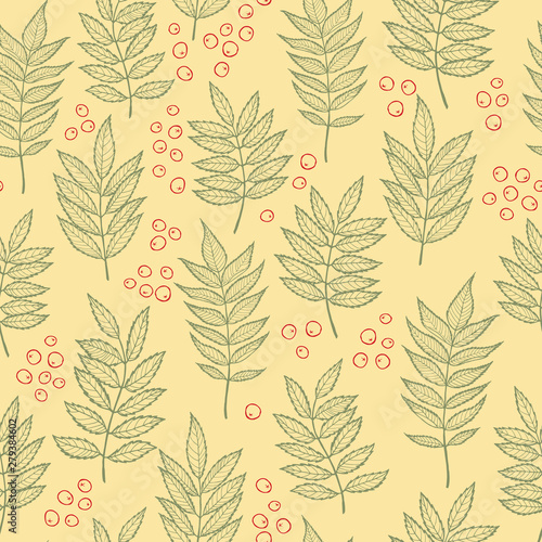 Rowan leaves. Vector seamless pattern. Hand drawn.