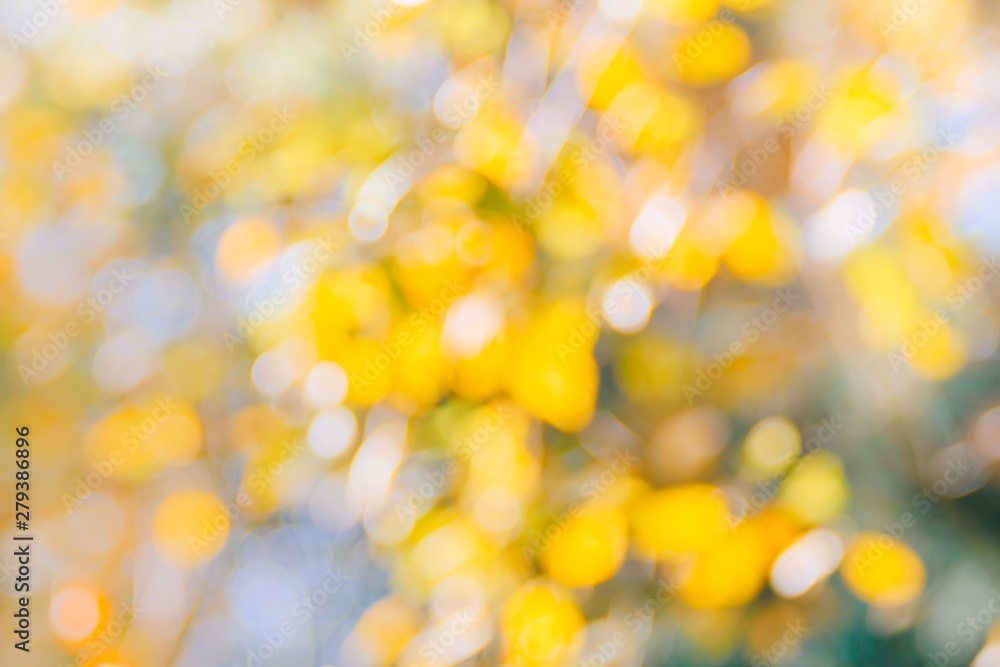 Abstract defocused nature background with autumn leaves and bokeh Abstract defocused nature background with autumn leaves and bokeh