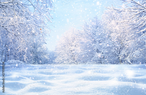 Winter Christmas idyllic la...